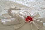 swan-200461_150-200461 swan, towel, flower, vacations, beautiful flowers, hotel, flower wallpaper, bed, djerba, tunisia, room, service, flower background, nature, room service